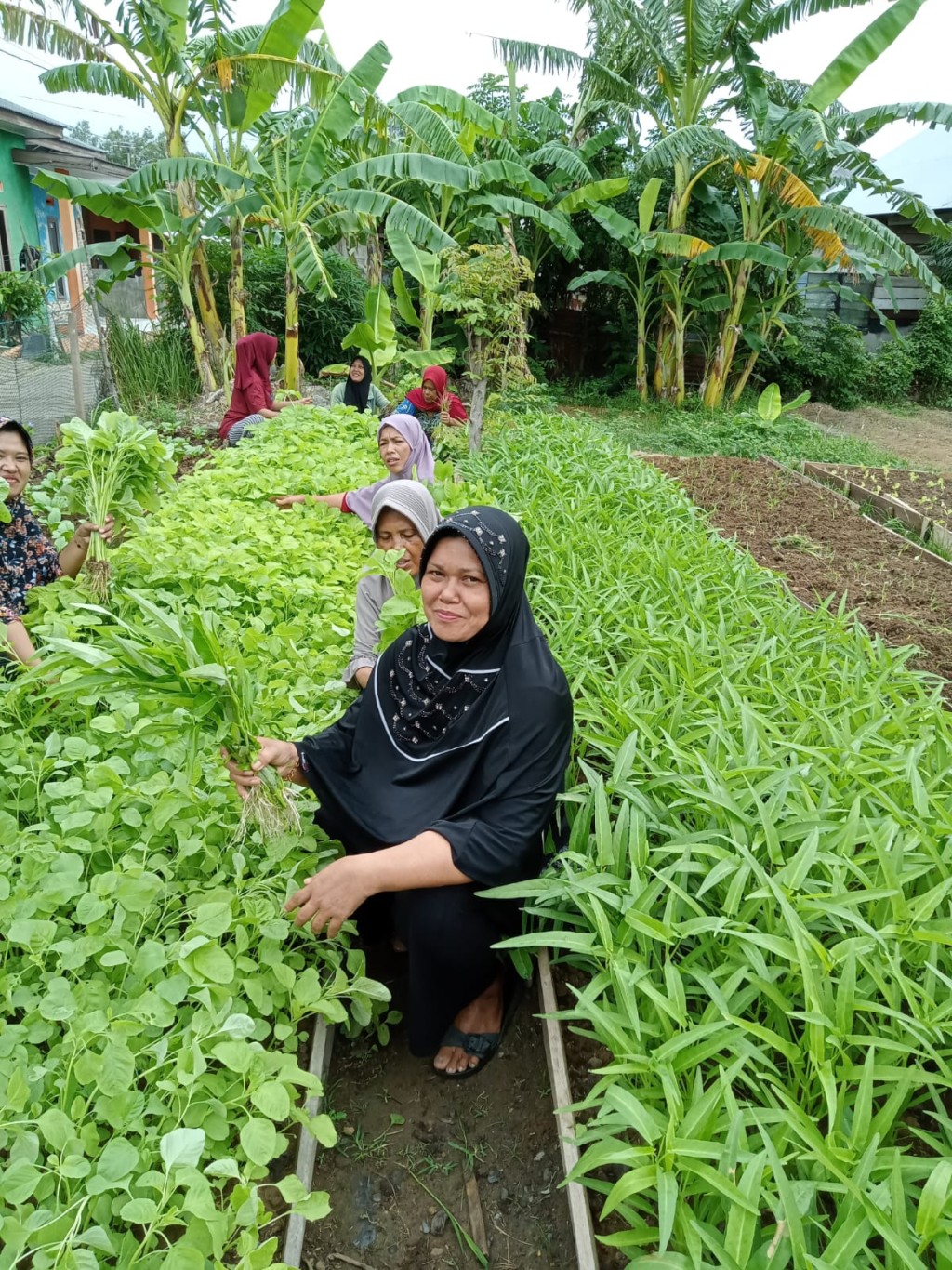 Kegiatan Kelompok Wanita Tani Gampong Deah Baro